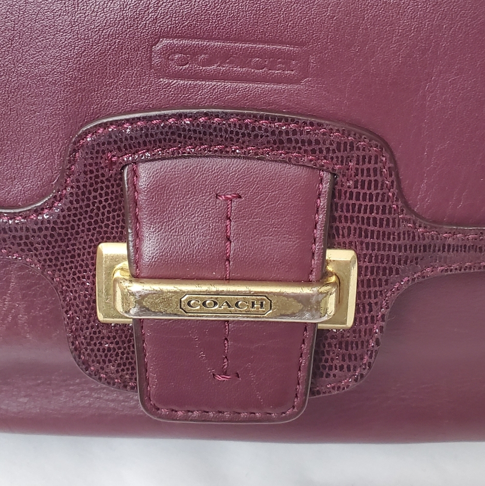 Hot Aesthetic Coach Bag